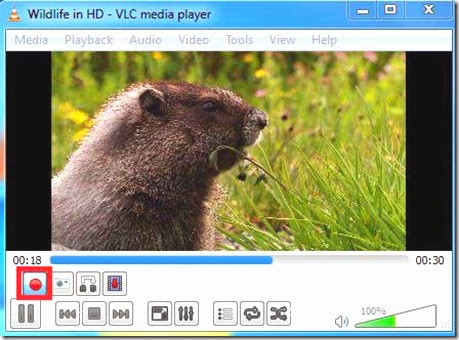 click%252520on
%252520record
%252520button_thumb
%25255B16%25255D click%252520on
%252520record
%252520button_thumb %25255B16%25255D